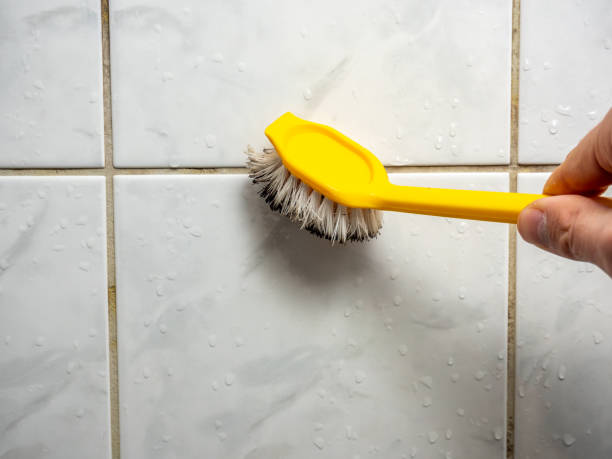 Best Commercial Mold Removal  in Bloomingdale, FL