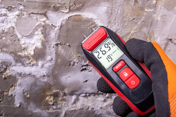 Office Mold Removal Services in Bloomingdale, FL