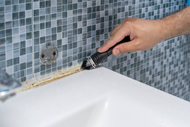 Best Black Mold Removal  in Bloomingdale, FL